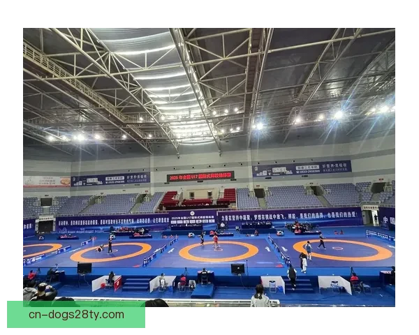 狂风撼门柱裁判坚持葡U17开赛 狂风撼门柱裁判坚持葡U17开赛