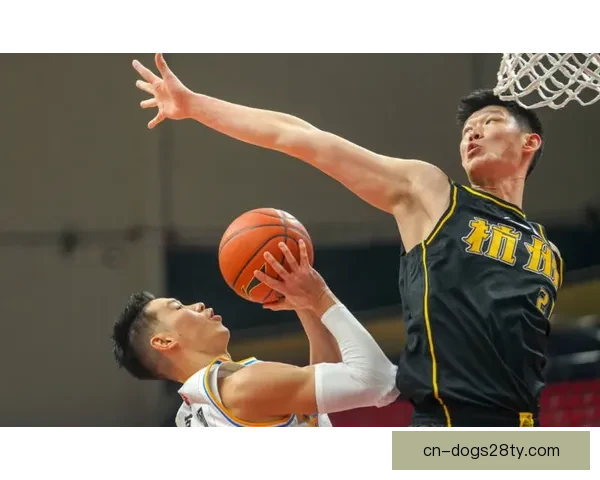 致敬王鹤棣快攻接林书豪霸王步