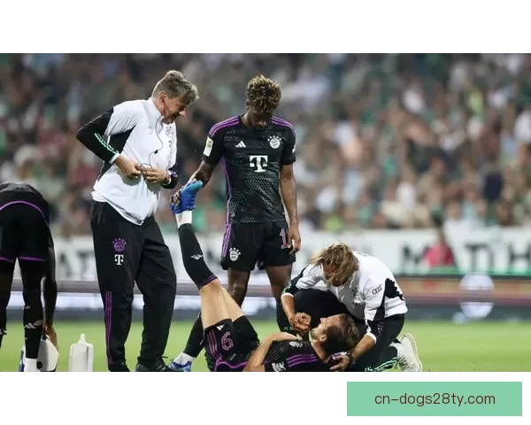 凯恩自豪达500球盼续传奇