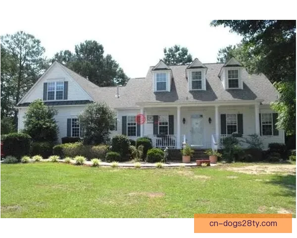 北卡威尔逊参选能否值前五顺位